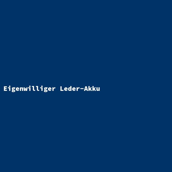 Eigenwilliger Leder-Akku