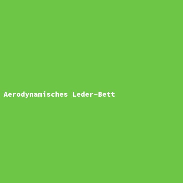 Aerodynamisches Leder-Bett
