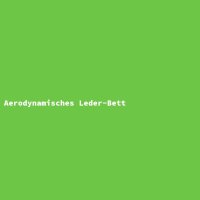 Aerodynamisches Leder-Bett